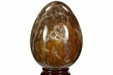 Polished Petrified Wood Egg - Triassic #107394-1